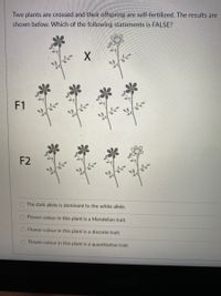 Two plants are crossed and their offspring are self-fertilized. The results are
shown below. Which of the following statements is FALSE?
F1
F2
The dark allele is dominant to the white allele.
Flower colour in this plant is a Mendelian trait.
Flower colour in this plant is a discrete trait.
Flower colour in this plant is a quantitative trait.
