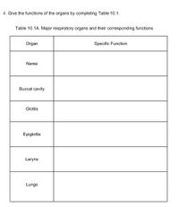 4. Give the functions of the organs by completing Table 10.1.
Table 10.1A. Major respiratory organs and their corresponding functions
Organ
Specific Function
Nares
Buccal cavity
Glottis
Epiglottis
Larynx
Lungs
