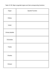 Table 10.1B. Major urogenital organs and their corresponding functions
Organ
Specific Function
Kidney
Ureter
Urinary bladder
Fat bodies
Testes
Ovaries
Oviduct
