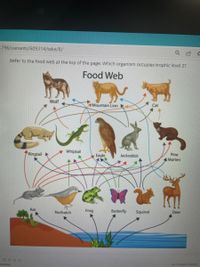 Answered: Refer to the food web at the top of the… | bartleby