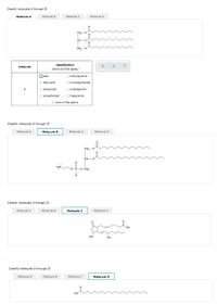 Classify molecules A through D.
Molecule A
Molecule B
Molecule C
Molecule D
CH, -0
CH-O
CH2 -0
classification
molecule
(check all that apply)
Owax
O triacylglycerol
O fatty acid
O monosaccharide
A
O eicosanoid
O prostaglandin
O phospholipid
O triglyceride
O none of the above
Classify molecules A through D.
Molecule A
Molecule B
Molecule C
Molecule D
CH2 -0
CH-O
o-P-0-cH,
CH2
Classify molecules A through D.
Molecule A
Molecule B
Molecule C
Molecule D
HO,
но
OH
Classify molecules A through D.
Molecule A
Molecule B
Molecule C
Molecule D
Но
