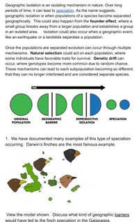 allopatric speciation finches