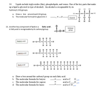 Answered: 14. Lipids include triglycerides… | bartleby