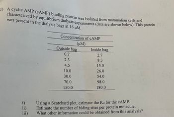 Here is the transcribed content from the image suitable for an educational website:

---

**Equilibrium Dialysis and cAMP Binding Protein Analysis**

A cyclic AMP (cAMP) binding protein was isolated from mammalian cells and characterized using equilibrium dialysis experiments. The data from these experiments is provided below. The protein was present in the dialysis bags at a concentration of 16 μM.

---

**Concentration of cAMP (μM)**

| Outside Bag | Inside Bag |
|-------------|------------|
| 0.7         | 2.7        |
| 2.3         | 8.3        |
| 4.5         | 15.0       |
| 10.0        | 26.0       |
| 30.0        | 54.0       |
| 70.0        | 98.0       |
| 150.0       | 180.0      |

---

**Analysis Questions:**

i) Using a Scatchard plot, estimate the Kd for the cAMP.

ii) Estimate the number of binding sites per protein molecule.

iii) What other information could be obtained from this analysis?

---

**Instructions for Further Analysis:**

To analyze the binding characteristics of the cAMP-binding protein, you would typically use a Scatchard plot to determine the dissociation constant (Kd) and the number of binding sites. Plot the ratio of bound to free ligand versus the concentration of bound ligand. This analysis will provide insights into the affinity and capacity of the protein for cAMP, valuable for understanding its functional role in cellular processes.

