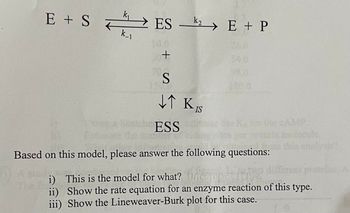 k_1
E + SES E + P
+0
k₂
S
↓↑ KIS
ESS
Based on this model, please answer the following questions:
i) This is the model for what? Uncompet tive
ii) Show the rate equation for an enzyme reaction of this type.
iii) Show the Lineweaver-Burk plot for this case.
A