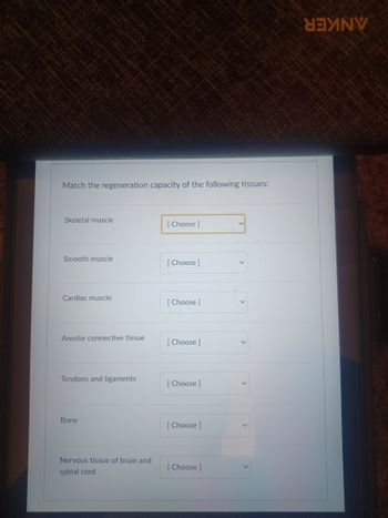 Match the regeneration capacity of the following tissues:
Skeletal muscle
Smooth muscle
Cardiac muscle
Areolar connective tissue
Tendons and ligaments
Bone
Nervous tissue of brain and
spinal cord.
[Choose ]
[Choose ]
[Choose ]
[Choose ]
[Choose ]
[Choose ]
[Choose]
SEYINV