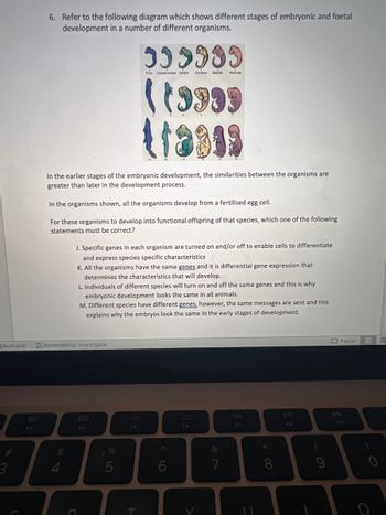(Australia)
3
80
F3
6. Refer to the following diagram which shows different stages of embryonic and foetal
development in a number of different organisms.
In the earlier stages of the embryonic development, the similarities between the organisms are
greater than later in the development process.
In the organisms shown, all the organisms develop from a fertilised egg cell.
For these organisms to develop into functional offspring of that species, which one of the following
statements must be correct?
Accessibility: Investigate
$
4
J. Specific genes in each organism are turned on and/or off to enable cells to differentiate
and express species specific characteristics
K. All the organisms have the same genes and it is differential gene expression that
determines the characteristics that will develop.
L. Individuals of different species will turn on and off the same genes and this is why
embryonic development looks the same in all animals.
M. Different species have different genes, however, the same messages are sent and this
explains why the embryos look the same in the early stages of development.
C
F4
%
5
399999
Fish Salamander Turtle Chicken Rabbit Human
(19999
F5
T
6
F6
&
7
F7
* CO
8
5
FB
9
Focus
F9
E E