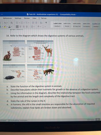 ***
References
A Aa A
AD A
Australia)
drupit UNUTT
e.
Mailings Review View
Esop
Nonruminant Herbivore
Simple stomach, large cecum
Insectivore
E-6-5-1 AT
Esophagus
14. Refer to the diagram which shows the digestive systems of various animals.
Short intestine, no cecum
Stomach-
-Anus
Small
intestine
Cecum
Large
intestine
-Small
intestine
Task 05 - Multicellular organisms (1) Compatibility Mode
Tell me
-Large
intestine
Anus
Esophagus-
Reticulum-
Omasum
Accessibility: Investigate
Spiral
loop
V
Esophagus
Ruminant Herbivore
Four-chambered stomach with large rumen
long small and large intestine
-Rumen
Abomasum
Anus
Small
intestine
Cecum
-Largo
intestine
Carnivore
Short intestine and
colon, small cecum
Stomach
-Small
intestine
Cecum
-Large
intestine
-Anus
AaBbCcDdi
Heading 3
v
AaBbCcDdEe AaBbCcDdEO AaBbCcDdEe
Normal
SO Table Text No Spacing
a. State the function of the digestive system in animals
b.
Describe how plants obtain their nutrients for growth in the absence of a digestive system.
c. Using the information in the diagram, describe the relationship between the food consumed
by the animal and the length and complexity of the digestive tract.
d. State the role of the rumen in the X.
In humans, the villi in the small intestine are responsible for the absorption of required
substances, explain how lipids are broken down and absorbed.
MacBook Air
AaBb CcD
Heading 1
Focus