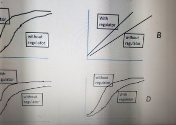 tor
ith
egulator
without
regulator
6
without
regulator
With
regulator
without
regulator
without
regulator
With
regulator
D
B