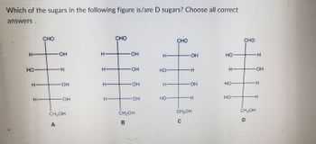 Answered: Which Of The Sugars In The Following… | Bartleby