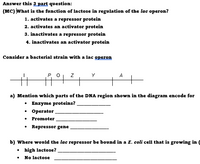 Solved Normal function of the lac operon means that the cell