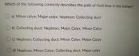 Which of the following correctly describes the path of fluid flow in the kidney?
a) Minor calyx; Major calyx; Nephron: Collecting duct
b) Collecting duct; Nephron; Major Calyx; Minor Calyx
Od Nephron; Collecting duct; Minor Calyx: Major Calyx
d) Nephron; Minor Calyx; Collecting duct; Major calyx
