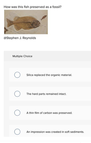 How was this fish preserved as a fossil?
@Stephen J. Reynolds
Multiple Choice
O
Silica replaced the organic material.
The hard parts remained intact.
A thin film of carbon was preserved.
An impression was created in soft sediments.