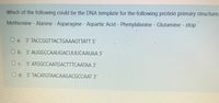 Which of the following could be the DNA template for the following protein primary structure.
Methionine - Alanine - Asparagine - Aspartic Acid - Phenylalanine - Glutamine - stop
O a. 3' TACCGGTTACTGAAAGTTATT 5'
O b. 3' AUGGCCAAUGACUUUCAAUAA 5'
O c. 5' ATGGCCAATGACTTTCAATAA 3'
O d. 5' TACATGTAACAAGACGCCAAT 3"
