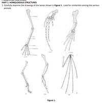 Answered: 1. Explain why the homologous… | bartleby