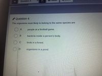 44
Question 4
/ Question 4
The organisms most likely to belong to the same species are
people at a football game.
bacteria inside a person's body.
C.
birds in a forest.
organisms in a pond.
