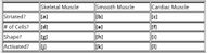 Skeletal Muscle
Smooth Muscle
Cardiac Muscle
Striated?
[b]
[a]
[d]
[c]
# of Cells?
[e]
[f]
Shape?
[g]
[h]
[i]
Activated?
j]
[k]
[1]
