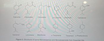 bil
Carvone
Geraniol
OH
Citronellal
H
Citronellol
Limonene Menthone
OH
p-Cymene
you
Geranial
OH
H
Carvacrol
LOH
a-Terpinene Terpineol a-Phellandrene
Figure 2. Structures of some Monoterpenes and Monoterpenoids from Essential Oils