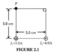 5.0 cm
5.0 cm
1,=3.0A
1;-4.0A
FIGURE 2.1
