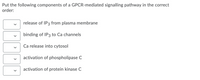 Put the following components of a GPCR-mediated signalling pathway in the correct
order:
release of IP3 from plasma membrane
binding of IP3 to Ca channels
Ca release into cytosol
activation of phospholipase C
activation of protein kinase C
>
>
