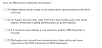 How are RNA hairpins related to termination?
A) Release factors bind to sites on the hairpin turn, causing release of the RNA
transcript.
B) The hairpin turn prevents more NTPS from entering the active site of the
enzyme, effectively shutting off the process of polymerization.
C) A three-base repeat signals a stop sequence, and the RNA transcript is
released.
O D) The hairpins are formed from complementary base pairing and cause
separation of the RNA transcript and RNA polymerase.
