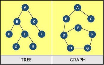 D
B
G
A
E
C
H
TREE
F
B
D
H
A
E
GRAPH
G
C
F