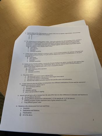 10. The cellular process involving synthesis of DNA. Starts at the replication fork with unwinding of DNA, priming of
the strands by Primase and synthesis of complementary DNA strand from template strand by DNA polymerase
incorporation of complementary nucleotides on the leading and lagging strands and then proof-reading by DNA
polymerase I, excision of RNA primers and repair of Okazaki fragments with DNA ligase to the finished lagging
strand and completion of the 2 daughter stands of DNA
Transcription
C.
d.
Cytosine makes up 38% of the nucleotides in a sample of DNA from an organism. Approximately, what percentage
of the nucleotides in this sample will be thymine?
a. 38
b. 24
Ⓒ12
d. 31
11. Cellular process of gene expression or turning on a gene. Involves proteins binding to the upstream of the gene and
recruiting RNA polymerase binding to the gene promoter sequence and synthesis of complementary (to the gene)
messenger RNA:
a.
b.
a.
a.
b. DNA replication
C.
d.
b.
C.
d.
(a)
b.
C.
d.
12. Cellular process of protein synthesis. Involves the ribosome binding to the mRNA, locating the start signal or first
AUG triplet codon, recruitment of the complementary tRNAs with their attached amino acid and formation of
peptide bonds between adjacent amino acids to form a polypeptide (protein).
Translation
Chromatin remodeling
Transcription
13. The genetic code is:
DNA replication
Translation
Chromatin remodeling
a.
Transcription
6. Semi-conservative DNA replication
Translation
C.
d. Chromatin remodeling
The amino acid sequence used to replicate DNA.
The nucleotide sequence of the promoter which begins transcription.
The amino acid sequence of the histones.
The three base (triplet) nucleotide sequence that specifies amino acid information.
14. A single eukaryotic gene may produce several proteins from different combinations of exons and the removal of
introns by the spliceosome complex due to:
RNA interference (RNAI)
translation
C.
alternative splicing
d. poly A tail and methyl G capping
15. Muscle cells and nerve cells in humans have the same DNA but owe their differences in structure and function to
a.
Having different ribosomes.
Having different chromosomes (chromosome 1-12 for muscles & 13-23 for nerves).
C.
Different programs of gene expression (sets of genes turned on or off).
d. Using different genetic codes.
16. Mutations at the chromosomal level can result from:
a.
Inversions
b. Duplications and Deletions
Translocations
All of the above
2