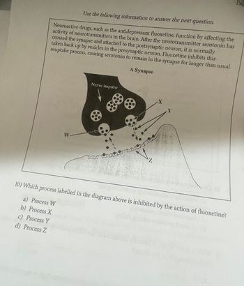 134
Use the following information to answer the next question.
Neuroactive drugs, such as the antidepressant fluoxetine, function by affecting the
activity of neurotransmitters in the brain. After the neurotransmitter serotonin has
crossed the synapse and attached to the postsynaptic neuron, it is normally
taken back up by vesicles in the presynaptic neuron. Fluoxetine inhibits this
reuptake process, causing serotonin to remain in the synapse for longer than usual.
W-
Nerve impulse
A Synapse
Z
10) Which process labelled in the diagram above is inhibited by the action of fluoxetine?
a) Process W
b) Process X
c) Process Y
d) Process Z