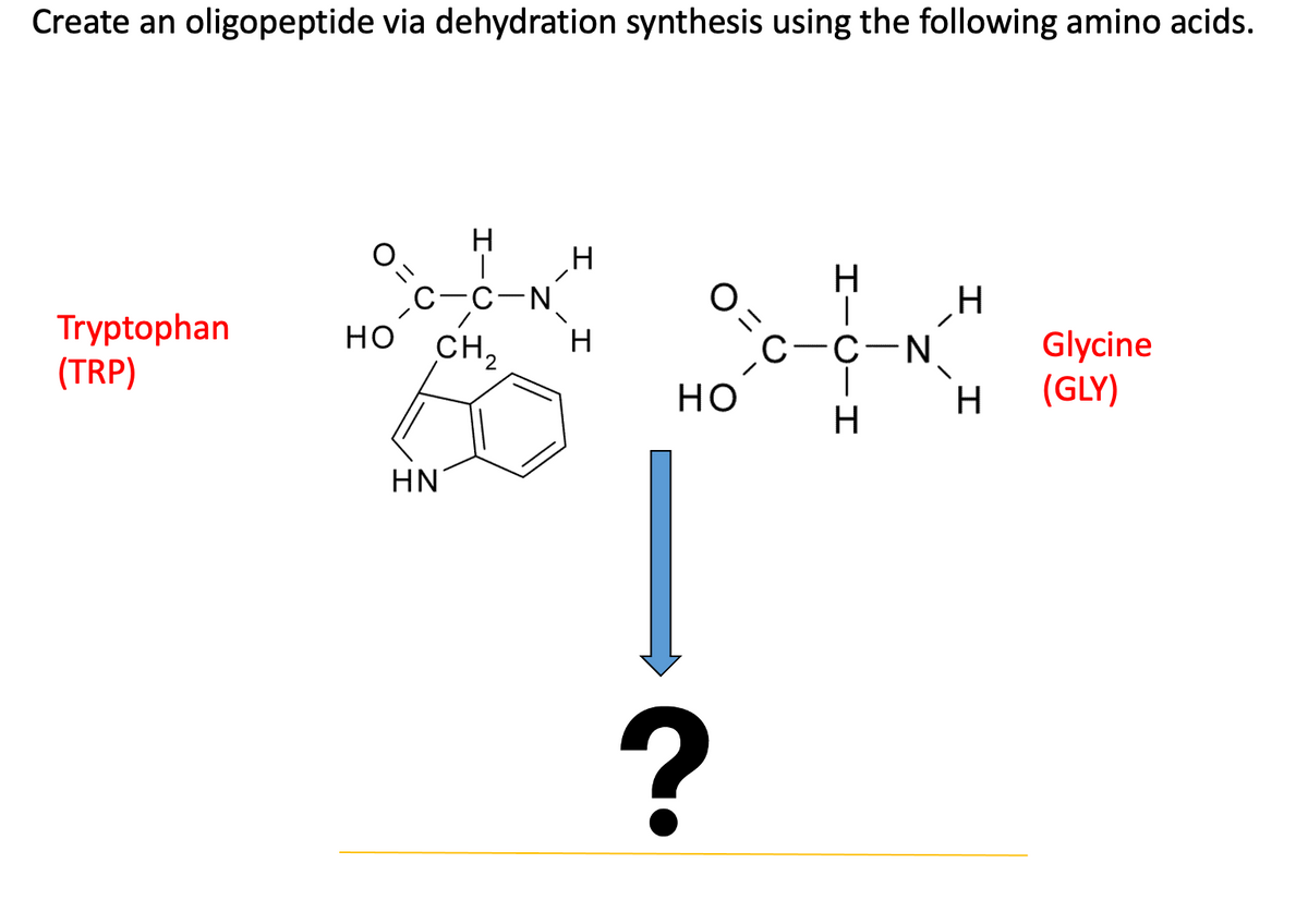 dehydration synthesis