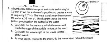 ....q -y aue...t
3. A bumblebee falls into a pool and starts 'swimming' at
7.0 mm s-¹ on the surface of a puddle and creates a wave
of frequency 2.7 Hz. The wave travels over the surface of
the water at 32 mm s-¹. The diagram shows the wave
pattern produced on the surface of the water.
7.0 mm s-¹
a. Calculate the frequency at which the waves will
reach the edge of the puddle in front of the insect.
b. Calculate the wavelength of the waves in front
of the insect.
C. At what speed, relative to the insect, do the waves travel behind the insect?