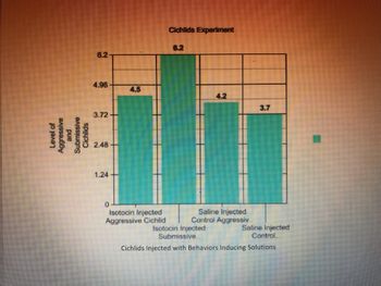 Level of
Aggressive
and
Submissive
Cichlids
6.2
4.96
3.72-
2.48
1.24
0
4.5
Isotocin Injected
Aggressive Cichlid
Cichlids Experiment
4.2
Saline Injected
Control Aggressiv..
Isotocin Injected
3.7
Saline Injected
Control..
Submissive..
Cichlids Injected with Behaviors Inducing Solutions