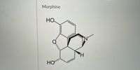 Morphine
HO
Но
