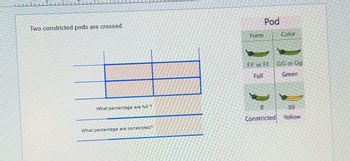 Two constricted pods are crossed.
What percentage are full ?
What percentage are constricted?
Form
Pod
FF or Ff
Full
Color
GG or Gg
Green
ff
gg
Constricted Yellow