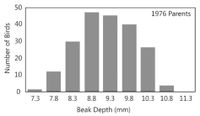 50
1976 Parents
30
20
10
7.3 7.8 8.3
8.8 9.3 9.8 10.3 10.8 11.3
Beak Depth (mm)
Number of Birds
40
