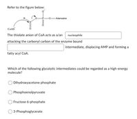 Refer to the figure below:
-Adenosine
COAS
The thiolate anion of CoA acts as a/an
nucleophile
attacking the carbonyl carbon of the enzyme bound
intermediate, displacing AMP and forming a
fatty acyl CoA.
Which of the following glycolytic intermediates could be regarded as a high-energy
molecule?
Dihydroxyacetone phosphate
Phosphoenolpyruvate
Fructose 6-phosphate
3-Phosphoglycerate
