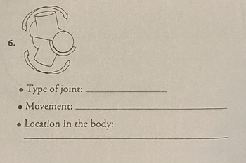 6.
Type of joint:
Movement:
Location in the body: