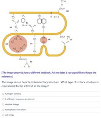 O-H
H
CH,OH
(b)
CH2
CH,
NH,
H--0=C
(b)
0-H--
(a)
CH,
CH,
CH,
CH
H-C CH,
(CH.)4–NH,
CH,
CH,
|(d)
(a)
CH,
(d)
(c)
CH,
CH,
HC
CH
CH,
CH,COOH
(b)
[The image above is from a different textbook. Ask me later if you would like to know the
reference.]
The image above depicts protein tertiary structure. What type of tertiary structure is
represented by the letter (d) in the image?
O hydrogen bonding
3 of these 4 responses are correct.
O disulfide linkage
O hydrophobic interaction
salt bridge
