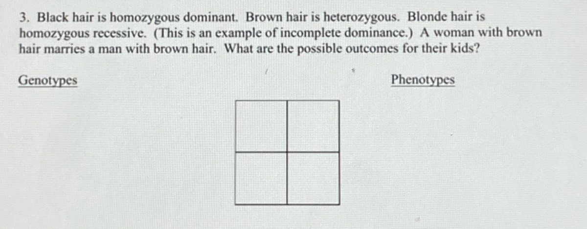Answered: 3. Black hair is homozygous dominant.… | bartleby