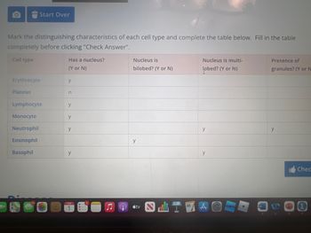 Mark the distinguishing characteristics of each cell type and complete the table below. Fill in the table
completely before clicking "Check Answer".
Cell type
Start Over
Erythrocyte
Platelet
Lymphocyte
Monocyte
Neutrophil
Eosinophil
Basophil
Has a nucleus?
(Y or N)
y
n
y
y
y
y
9
Nucleus is
bilobed? (Y or N)
y
tv
Nucleus is multi-
obed? (Y or N)
y
y
SETTO
Presence of
granules? (Y or N
y
Chec