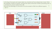 In the figure the inputs and outputs taken by a bacterial cell have already been closed. Write
the examples of these in/outputs. And give the names of the each of three 'processing units' in
a cell shown by arrows (inside of the cell).
Describe the advantage of a this kind of circuit encoded in DNA from different aspects
aws a
Inputs
Outputs
- codB
TREN
