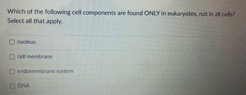 Which of the following cell components are found ONLY in eukaryotes, not in all cells?
Select all that apply.
nucleus
cell membrane
endomembrane system
DNA