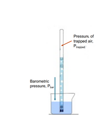 Answered: In Dalton's Law of Partial Pressures:… | bartleby