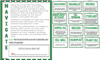 NAVICATE STATION-PACELLS
NAVIGATE STATION -PACELLS
NAVICATE STATION-PACELLS
GOLGI BODIES
ORGANELLES
VACUOLE
N
Using the cards that have been
provided, locate the card with the
word “Start" on it and place it down.
Read the question or statement at the
START
A TYPE OF CELL THAT HAS A RECTANGULAR
SHAPE AND CONTAINS A CELL WALL,
CHLOROPLASTS, AND ONE LARGE VACUOLE.
PASSAGE WAYS IN THE CELL THAT CARRY
TINY CELL PARTS THAT CARRY OUT
MATERIALS FROM ONE PART OF THE CELL
SPECIFIC FUNCTIONS WITHIN THE CELL.
TO ANOTHER.
THE SCINI NO
bot tom of the card and find the
NAVIGATE STATION PACELLS
NAVIGATE STATION PACILLS
NAVIGATE STATION PACUS
V
matching answer at the top of
another card within the set.
ENDOPLASMIC
RETICULUM
CELL
MEMBRANE
CYTOPLASM
Continue to navigate through the cards
until all cards have been correctly
matched and placed in order.
A TYPE OF CELL THAT HAS A CIRCULAR OR
THICK, GEL-LIKE FLUID THAT FILLS THE
CELL AND KEEPS THE ORGANELLES IN
THE PART OF A CELL THAT CONTROLS THE
IRREGULAR SHAPE AND CONTAINS MANY
ACTIVITIES OF THE CELL.
SMALLER VACUOLES, BUT DOES NOT
CONTAIN A CELL WALL OR CHLOROPLASTS.
I
PLACE,
NAVIGATE STATTON-PA CLLS
NAVOGATE STATION. PACELLS
NAVIGATE STATION-PACELLS
Locate the symbol, let ter, or number in
the top-right corner of each card.
Write the symbols, letters, and/or
numbers on your student recording
sheet in the order you matched each
card.
ANIMAL CELL
NUCLEUS
MITOCHONDRIA
G
THE PART OF A PLANT CELL THAT
THE RIGID LAYER SURROUNDING A PLANT
PRODUCES THE ENERGY NEEDED FOR THE
CONTAINS CHLOROPHYLL AND MAKES
CELL THAT PROVIDES PROTECTION,
SUPPORT, STRENGTH, AND SHAPE.
CELL TO CARRY OUT ITS FUNCTIONS.
FOOD FROM LIGHT ENERGY,
THE SCIENCI NO
THE SCIENCE DUO
NAVIEATE STATION-PA CELLS
NAVIGATE STATION-PACELLS
NAVIGATE STATION-PA CELLS
T
Navigate - Match the cards and wrie the correct order of symbals, ettr, and/or
CELL WALL
CHLOROPLAST PLANT CELL
numbersh the spaces beloW.
THE PART OF A CELL THAT CONTROLS
THE STORAGE AREA OF THE CELL,
PACKAGES AND DISTRIBUTES MATERIALS
WHAT COMES IN AND OUT OF THE CELL.
TO OTHER PARTS OF THE CELL.
E
THE SCENCE DUOT
THE SCIENCE DUO
SCENCI O
What kind of pictures do cels ke to tcke?
Тext
