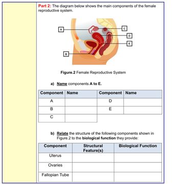 Answered: Part 2: The diagram below shows the… | bartleby