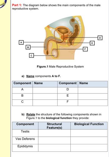 Answered: Part 1: The diagram below shows the… | bartleby