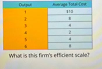 Output
1
2
3
4
Average Total Cost
$10
8
4
2
4
8
What is this firm's efficient scale?