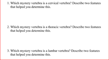 1. Which mystery vertebra is a cervical vertebra? Describe two features
that helped you determine this.
2. Which mystery vertebra is a thoracic vertebra? Describe two features
that helped you determine this.
3. Which mystery vertebra is a lumbar vertebra? Describe two features
that helped you determine this.