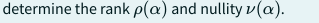 determine the rank p(a) and nullity v(a).