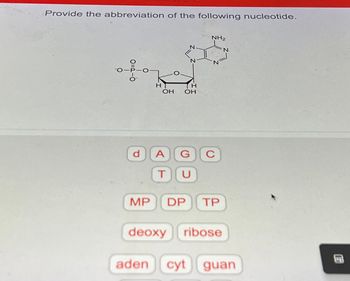 **Transcription for Educational Website:**

**Provide the abbreviation of the following nucleotide.**

[Image depicts a nucleotide structure, which includes a phosphate group linked to a ribose sugar, and an attached nitrogenous base.]

**Options to choose from:**

- d
- A
- G
- C
- T
- U
- MP
- DP
- TP
- deoxy
- ribose
- aden
- cyt
- guan

**Explanation of the Diagram:**

The diagram shows a chemical structure that includes three main components:
1. **Phosphate Group:** Represented by the chemical formula, connected to the sugar.
2. **Ribose Sugar:** A pentagon-shaped structure with hydroxyl (OH) groups.
3. **Nitrogenous Base:** This is a hexagonal ring structure, which specifies the type of nucleotide.