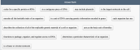 Answer Bank
codes for a specific protein or RNA
is a contiguous piece of DNA
may include plasmids
is the largest molecule in the cell
encodes all the heritable traits of an organism
is a unit of DNA carrying genetic information encoded in genes
each organism has one
describes the collection of all of the replicable genetic material of a cell or organism
acts as the basic unit of heredity
functions to package, organize, and regulate access to DNA
determines a particular characteristic of an organism
is a linear or circular molecule
